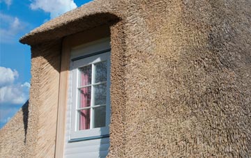Cellan thatch roof disadvantages