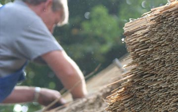 professional Cellan thatchers